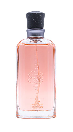 Lucky You by Lucky Brand 3.4 oz EDT for women Tester