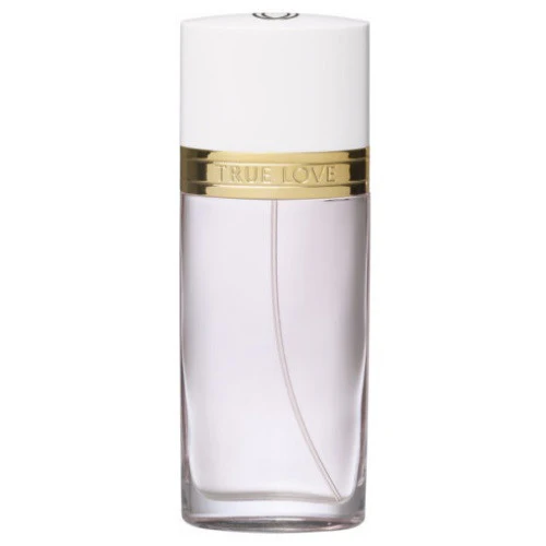 True Love by Elizabeth Arden 3.3 oz EDT for Women Tester
